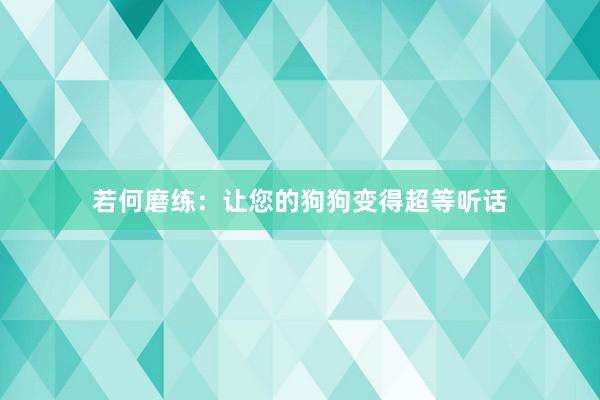 若何磨练：让您的狗狗变得超等听话