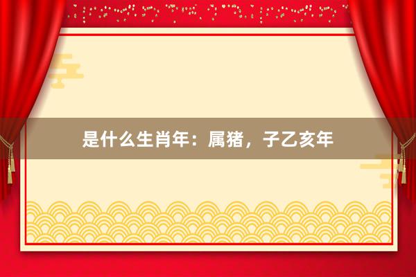 是什么生肖年：属猪，子乙亥年