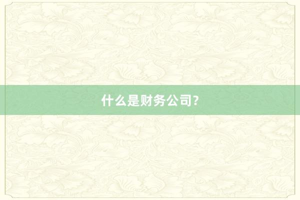 什么是财务公司？