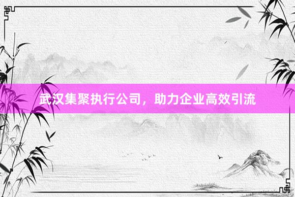武汉集聚执行公司，助力企业高效引流